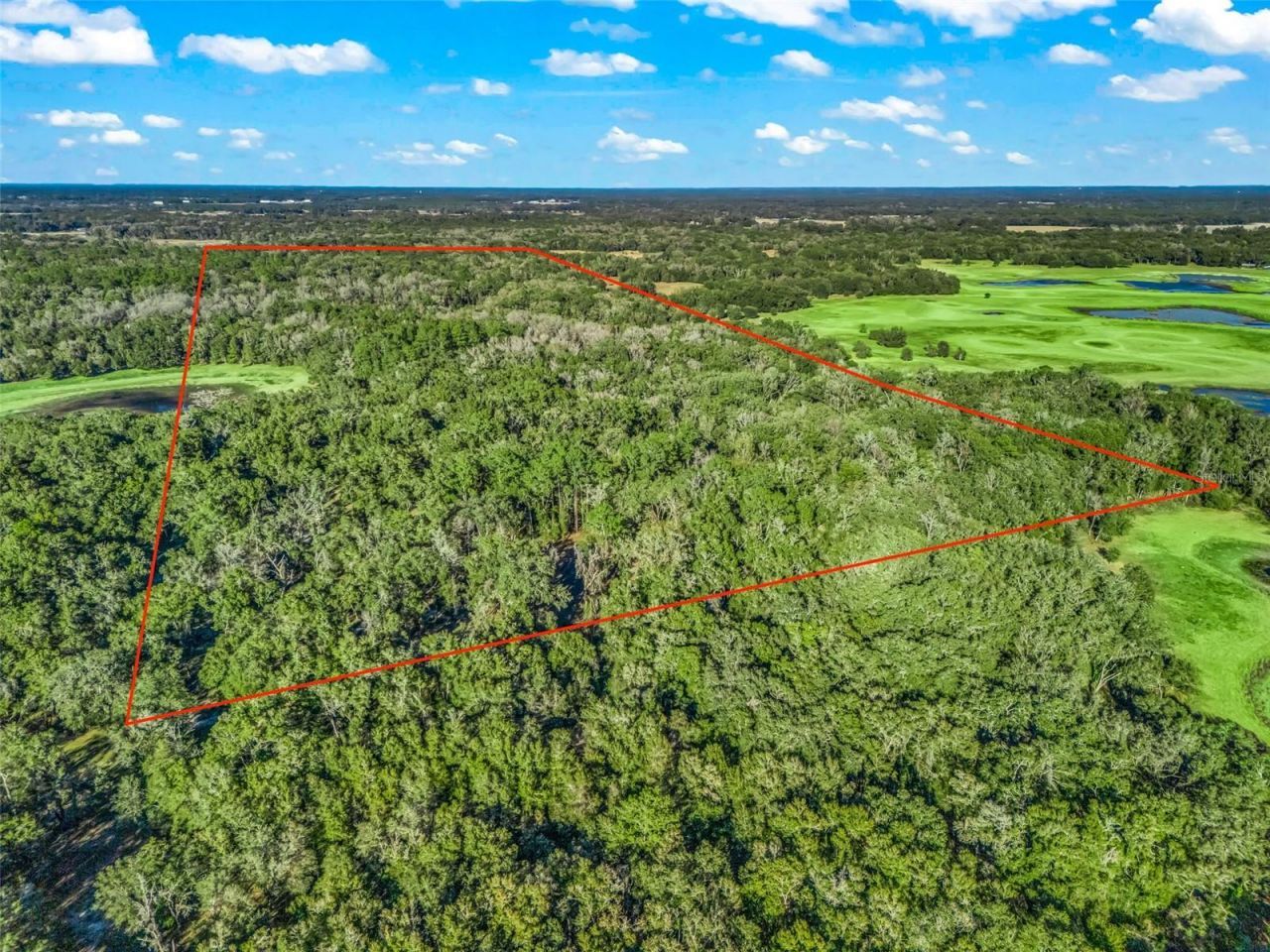 0 SE 165th Avenue, Williston, FL 32696 Photo