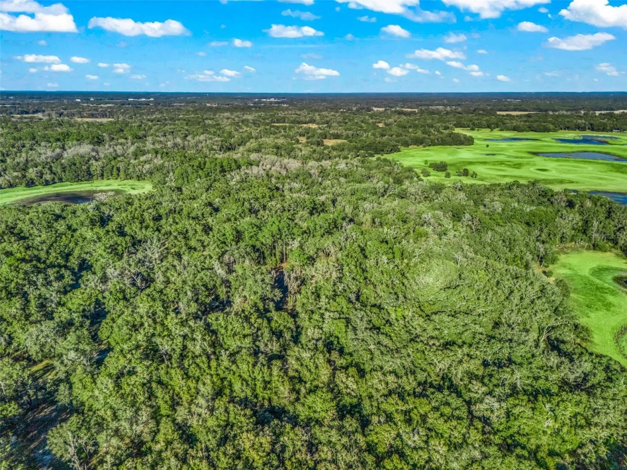 0 SE 165th Avenue, Williston, FL 32696 Photo