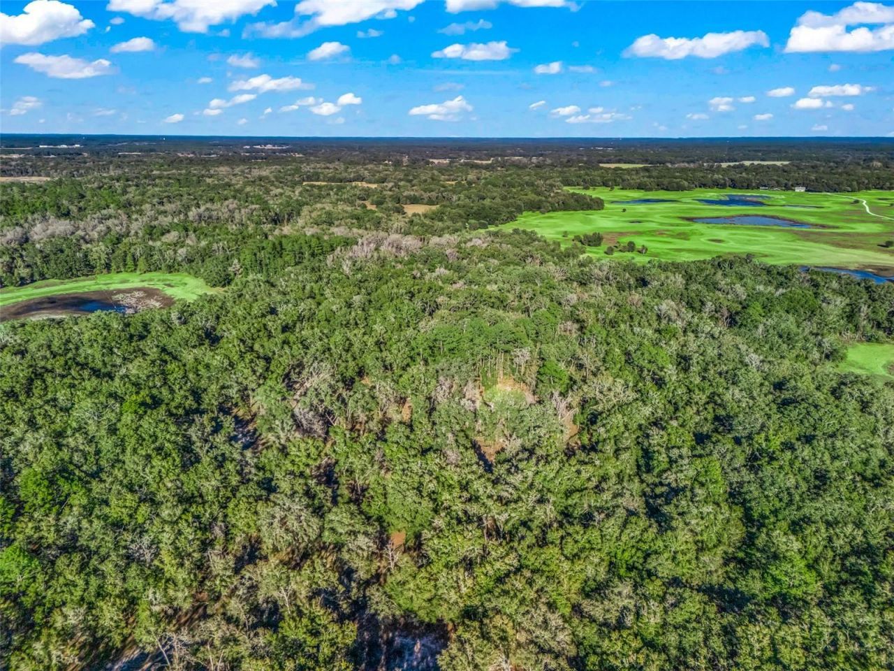 0 SE 165th Avenue, Williston, FL 32696 Photo