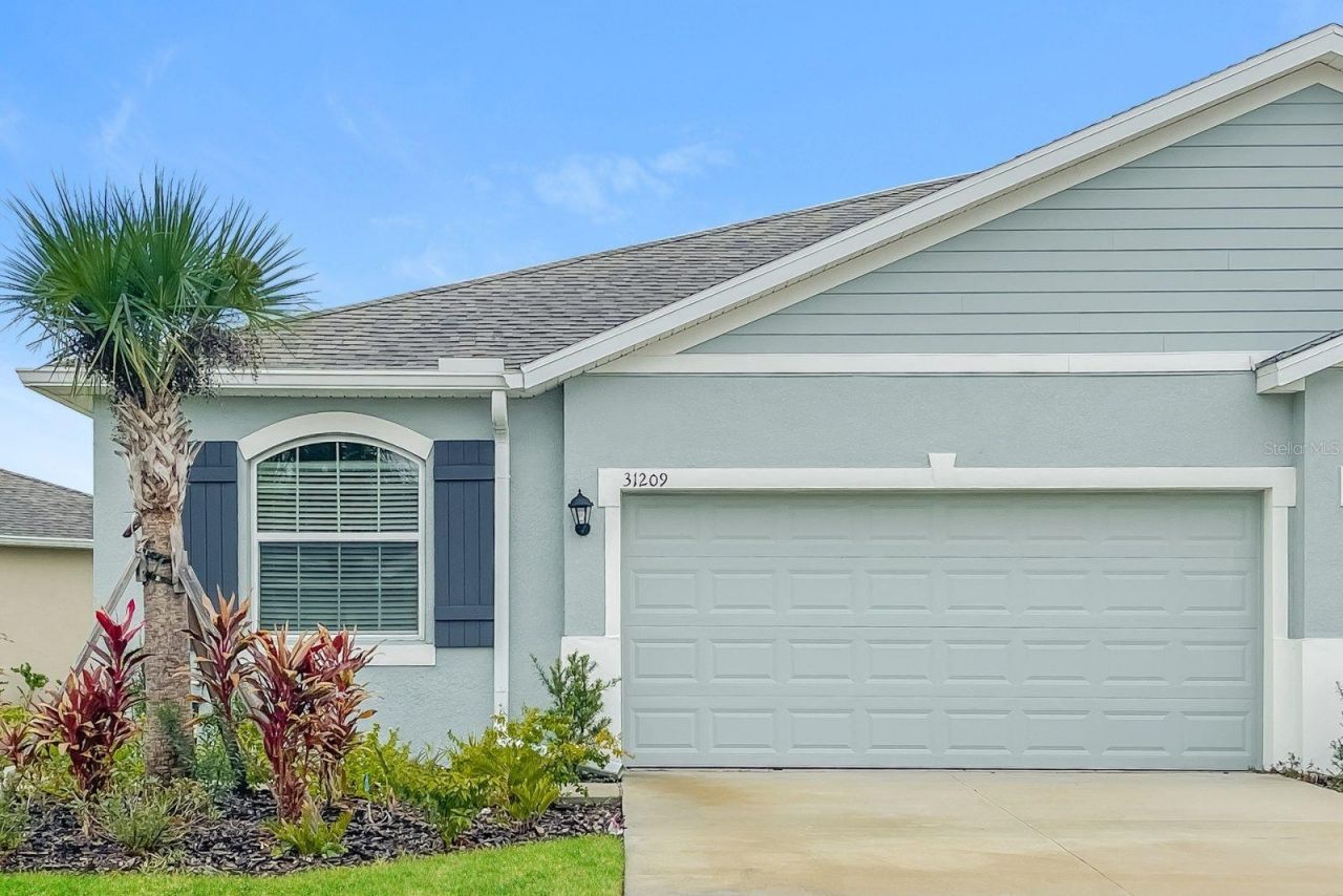 31209 Mango Fade Way, San Antonio, FL 33576 Main Photo