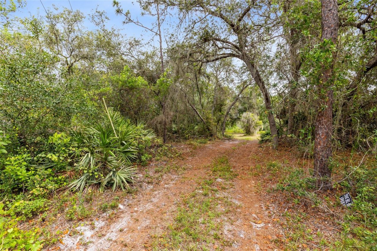 538 Murray Street, Osteen, FL 32764 Photo