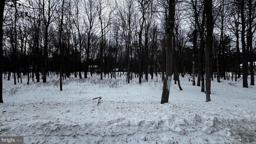 0 Stony Mountain Road, Lot #LOT EV961, Albrightsville, PA 18210 Main Photo