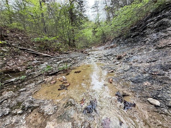 Tract 3 Cardinal Ridge Road, Eureka Springs, AR 72632