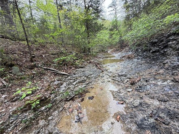 Tract 4 Cardinal Ridge Road, Eureka Springs, AR 72632