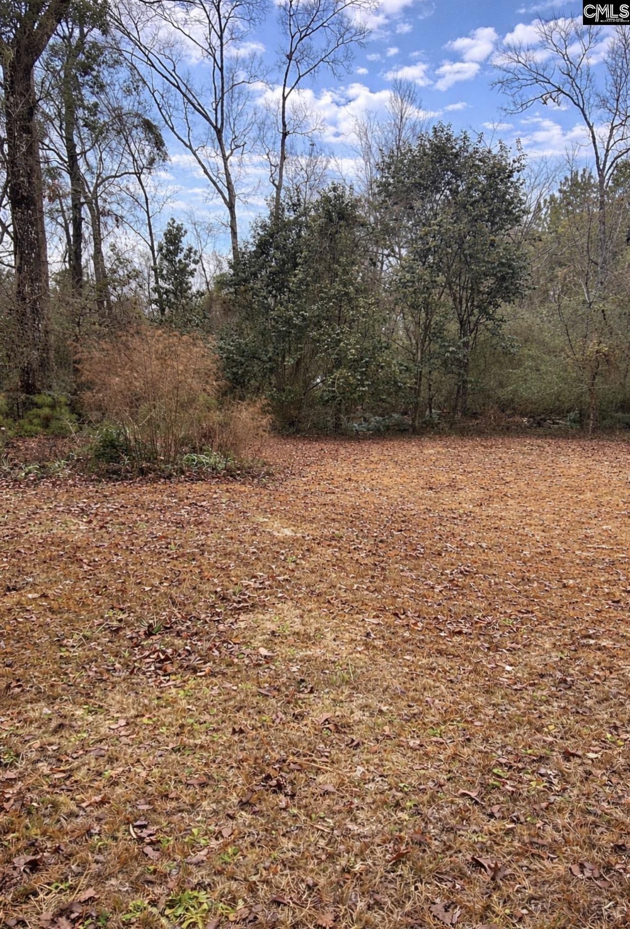 598 Binnicker Bridge Road Photo 14