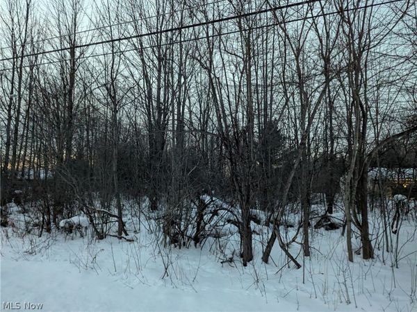 Morgan Road, Montville, OH 44064