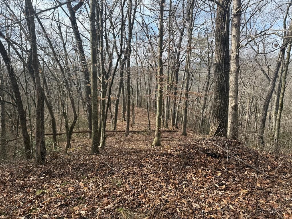 0 Smoky Mountain Ridge, Marble, NC 28905 Main Photo