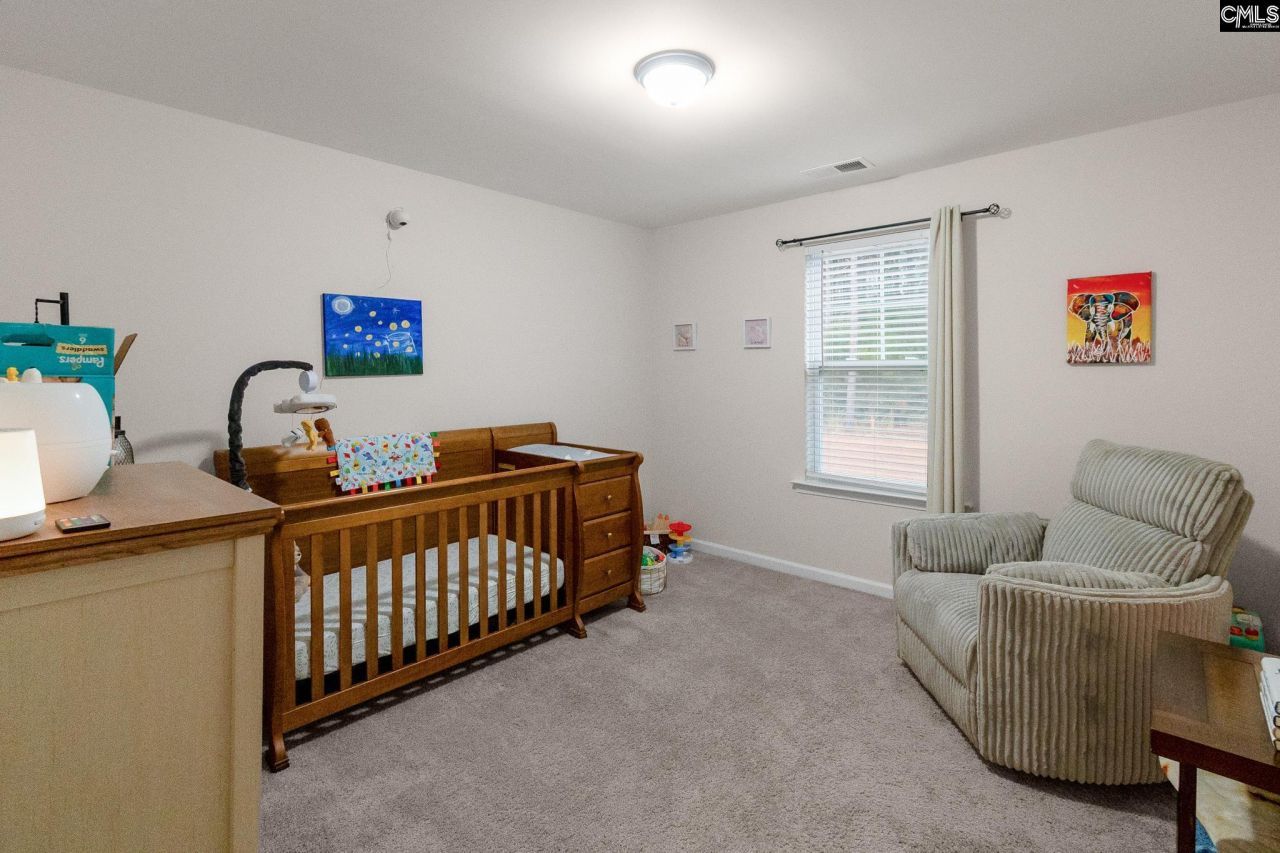 205 Carriagebrook Circle Photo 20