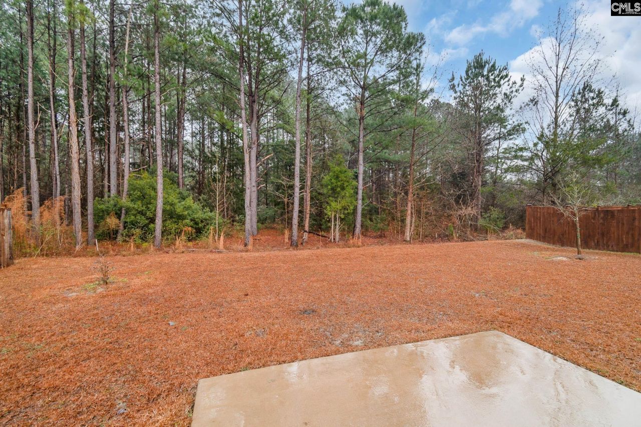 205 Carriagebrook Circle Photo 28