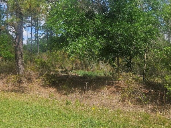 408 PANDORA DRIVE, INDIAN LAKE ESTATES, FL 33855