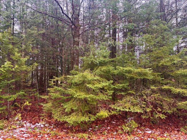Lot 62-63 Belfair Drive, Presque Isle, MI 49777