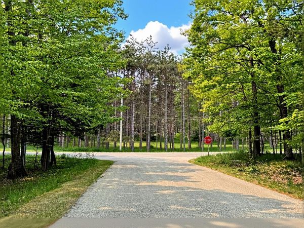 5945 Lodgepole Road, Harbor Springs, MI 49740