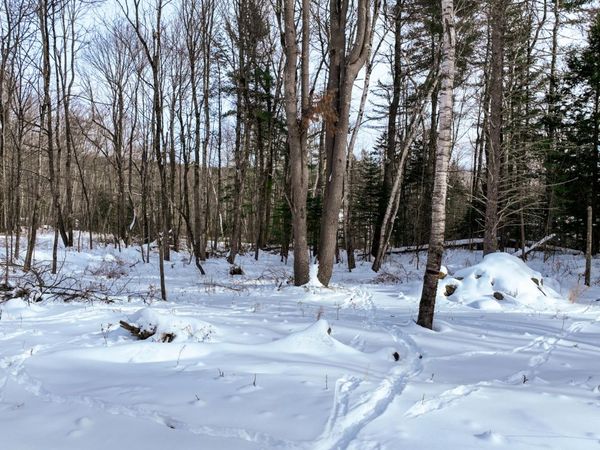 20 Skyscraper Hill Road, Brooks, ME 04921