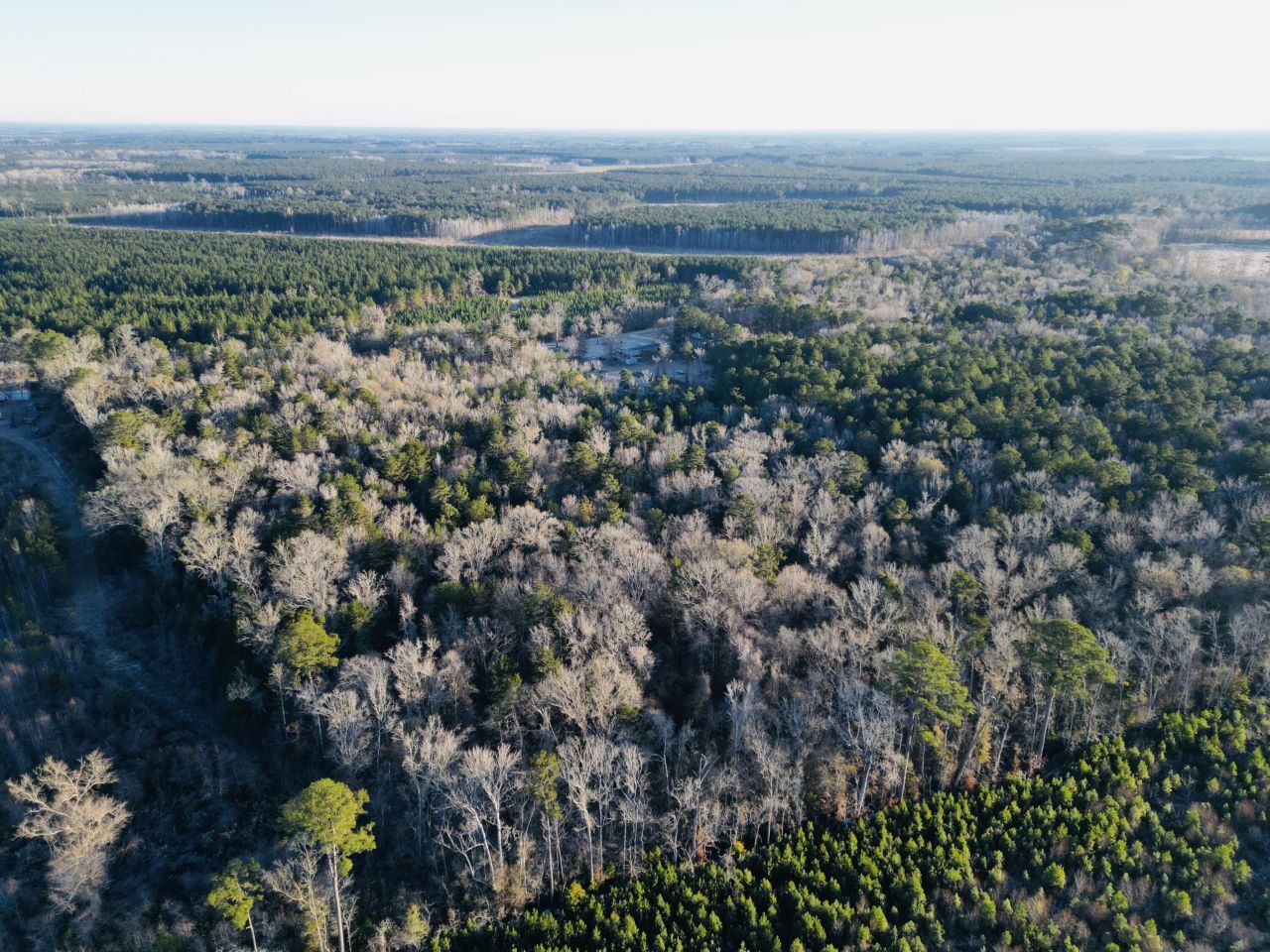 00 Hyde Park Road Photo 11