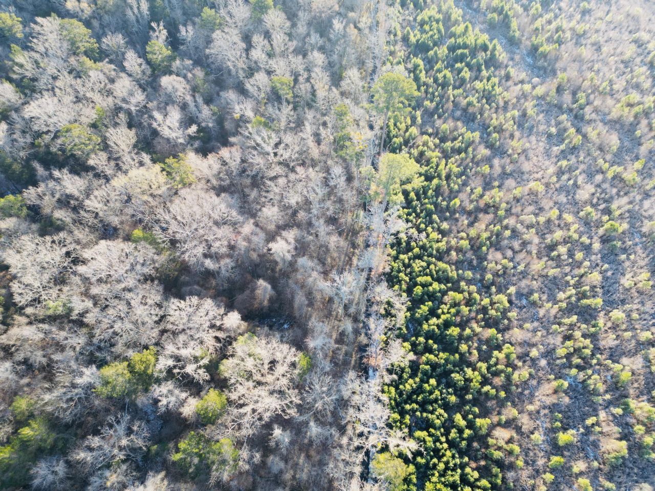 00 Hyde Park Road Photo 12