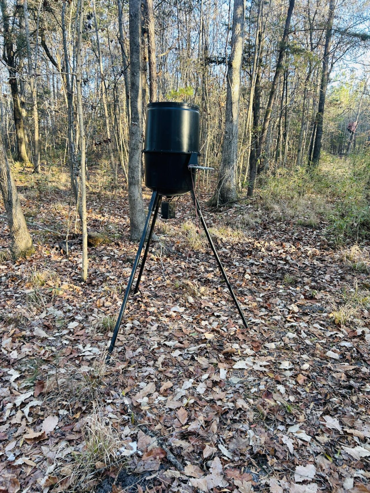 00 Hyde Park Road Photo 20