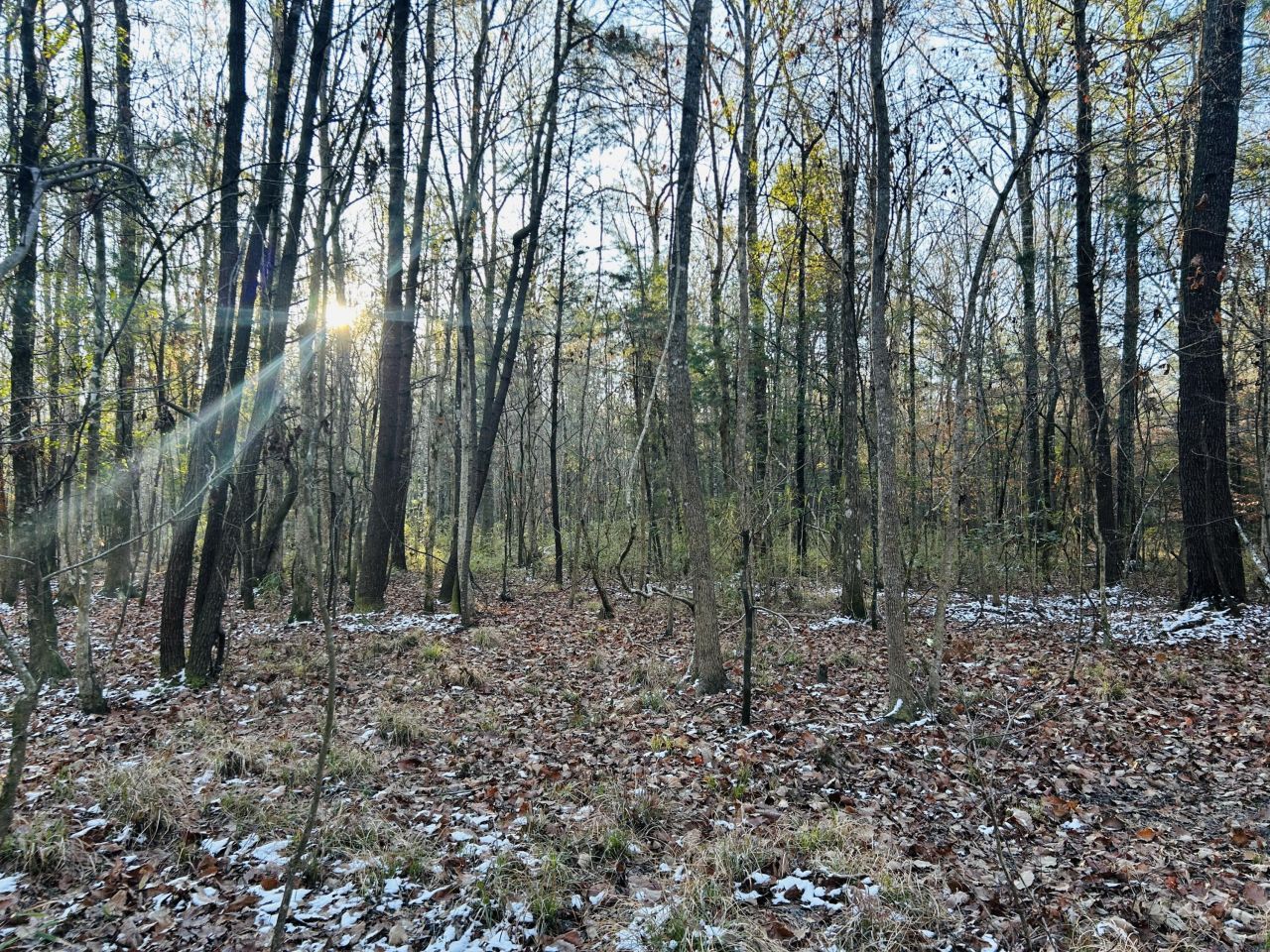 00 Hyde Park Road Photo 21