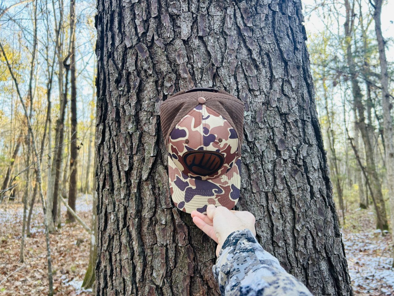 00 Hyde Park Road Photo 23