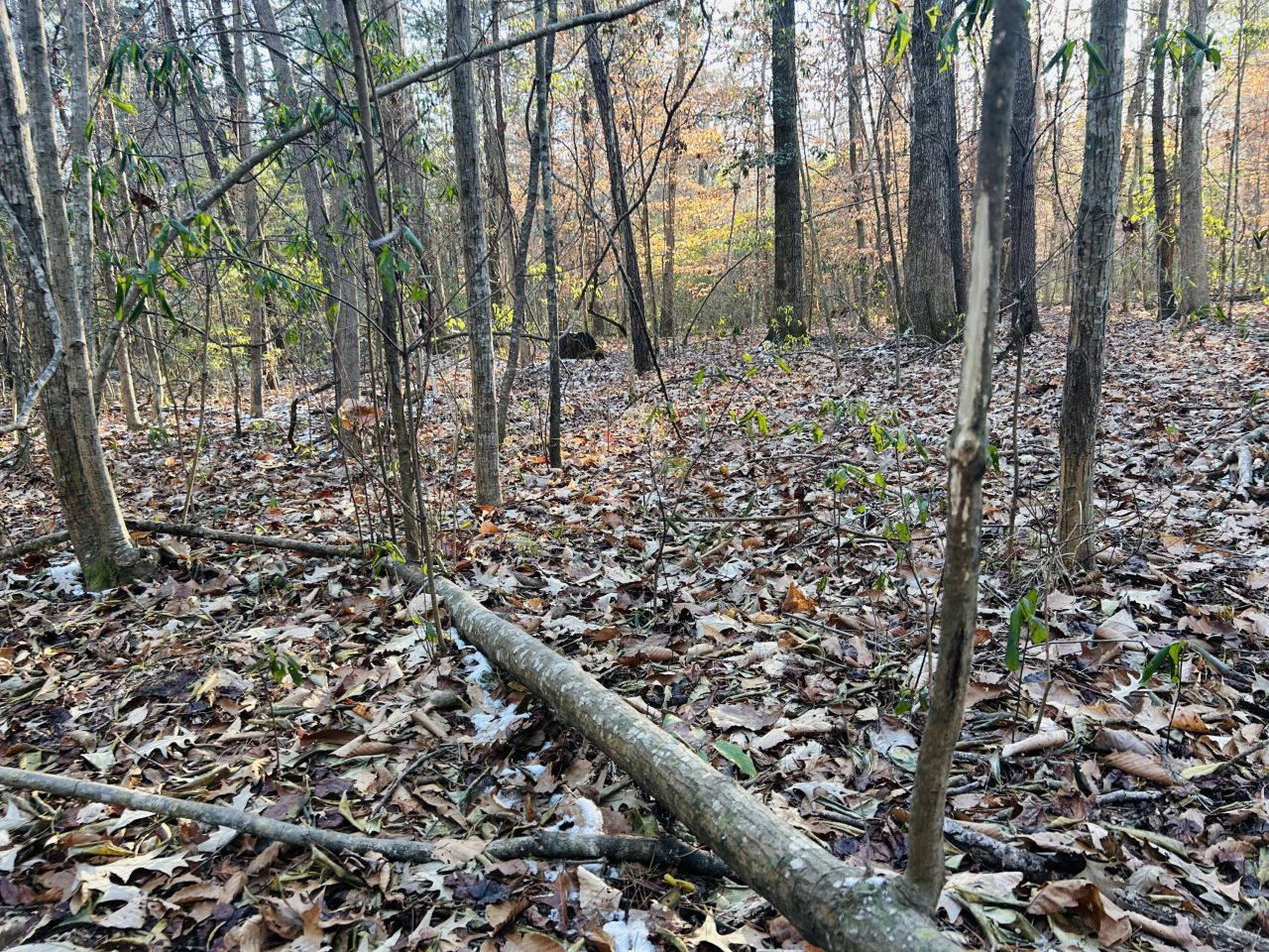 00 Hyde Park Road Photo 24