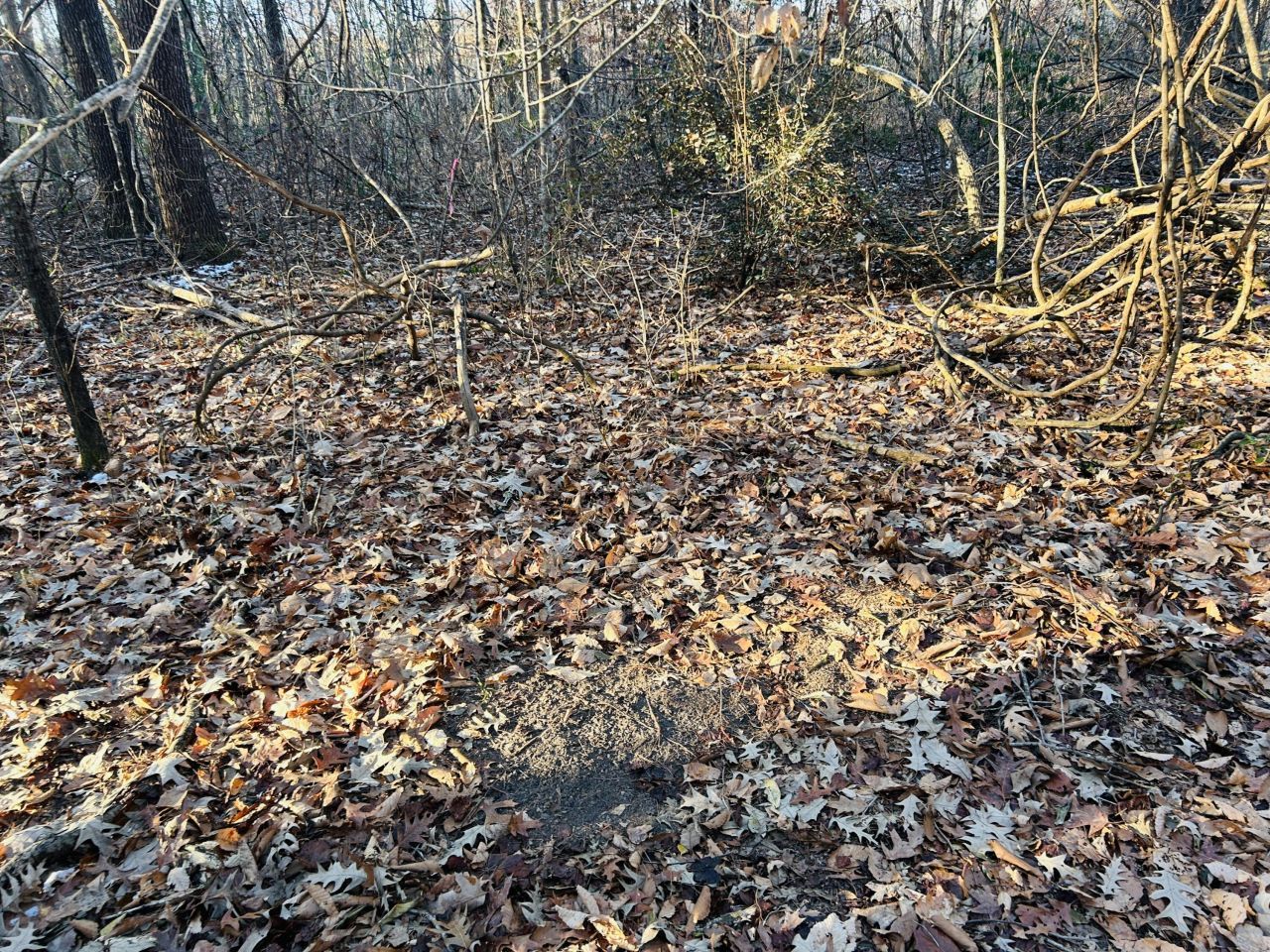 00 Hyde Park Road Photo 25