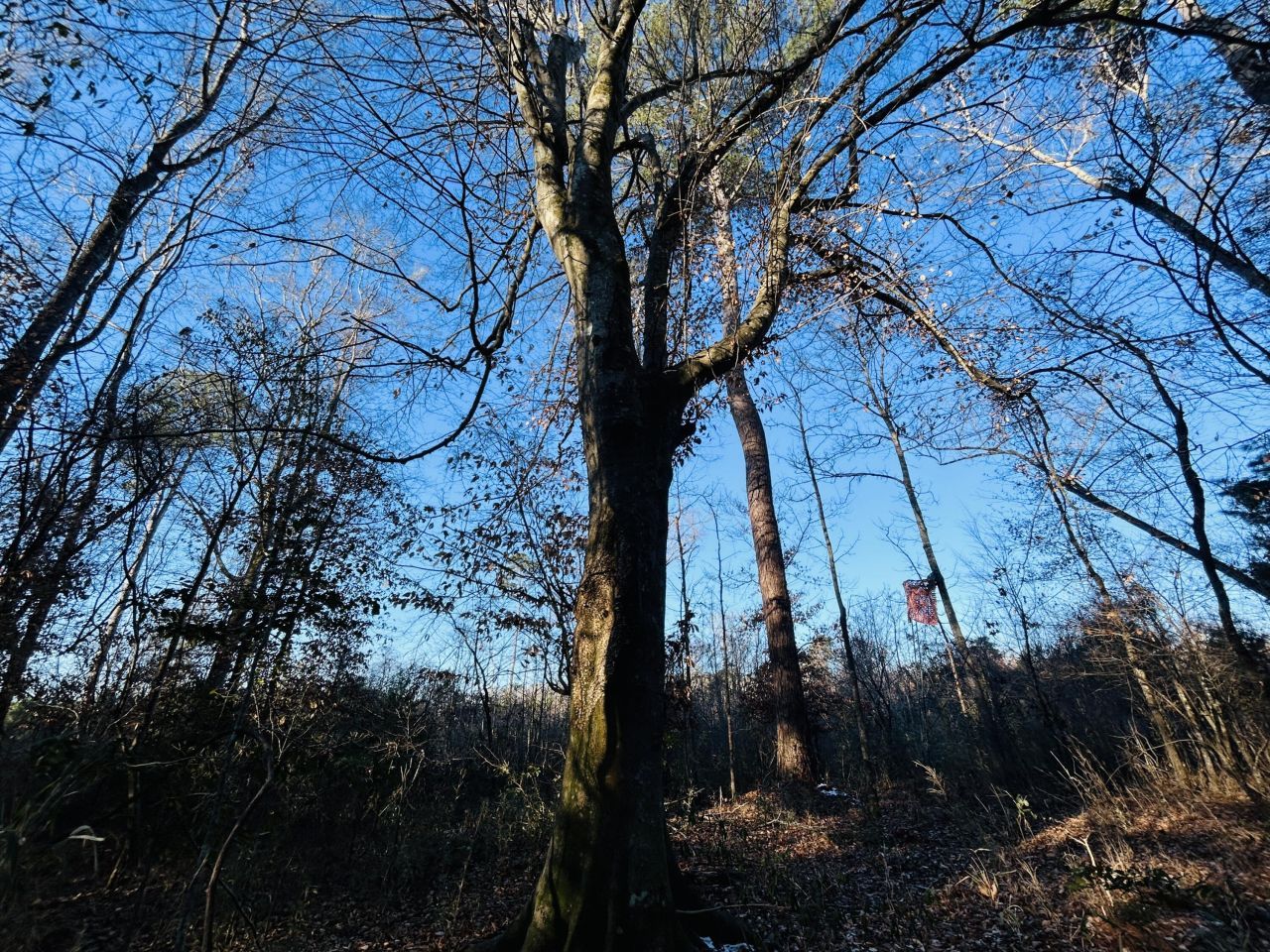 00 Hyde Park Road Photo 27