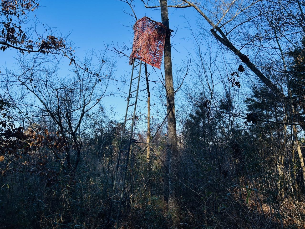 00 Hyde Park Road Photo 28