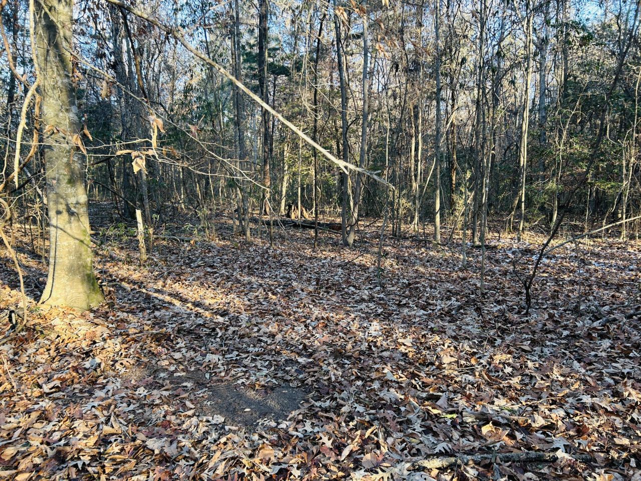 00 Hyde Park Road Photo 29