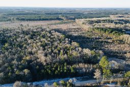 00 Hyde Park Road photo 4