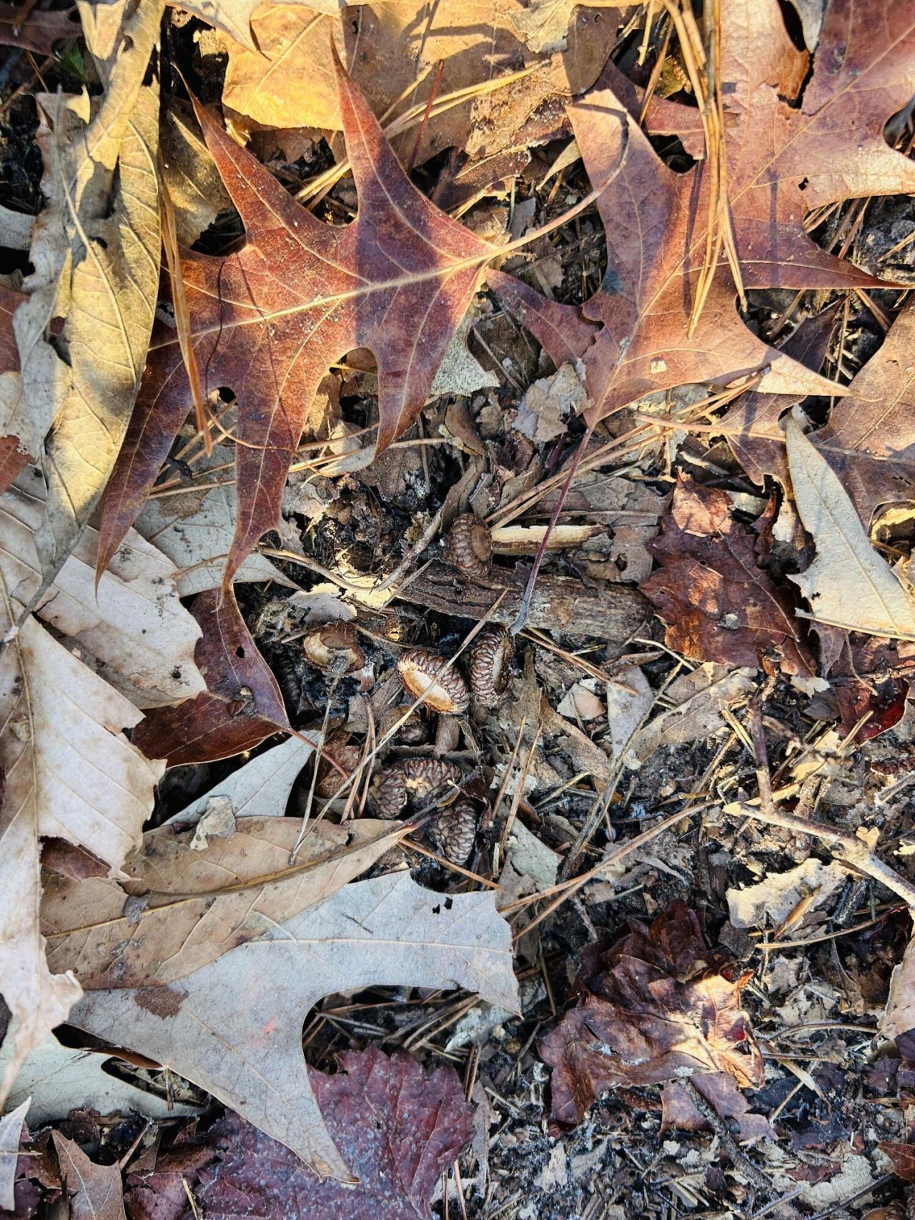 00 Hyde Park Road Photo 30