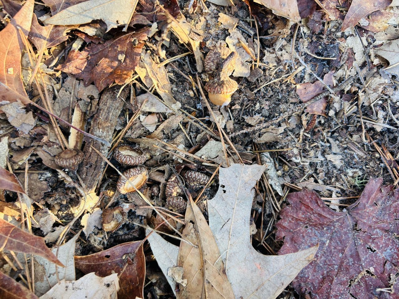 00 Hyde Park Road Photo 31