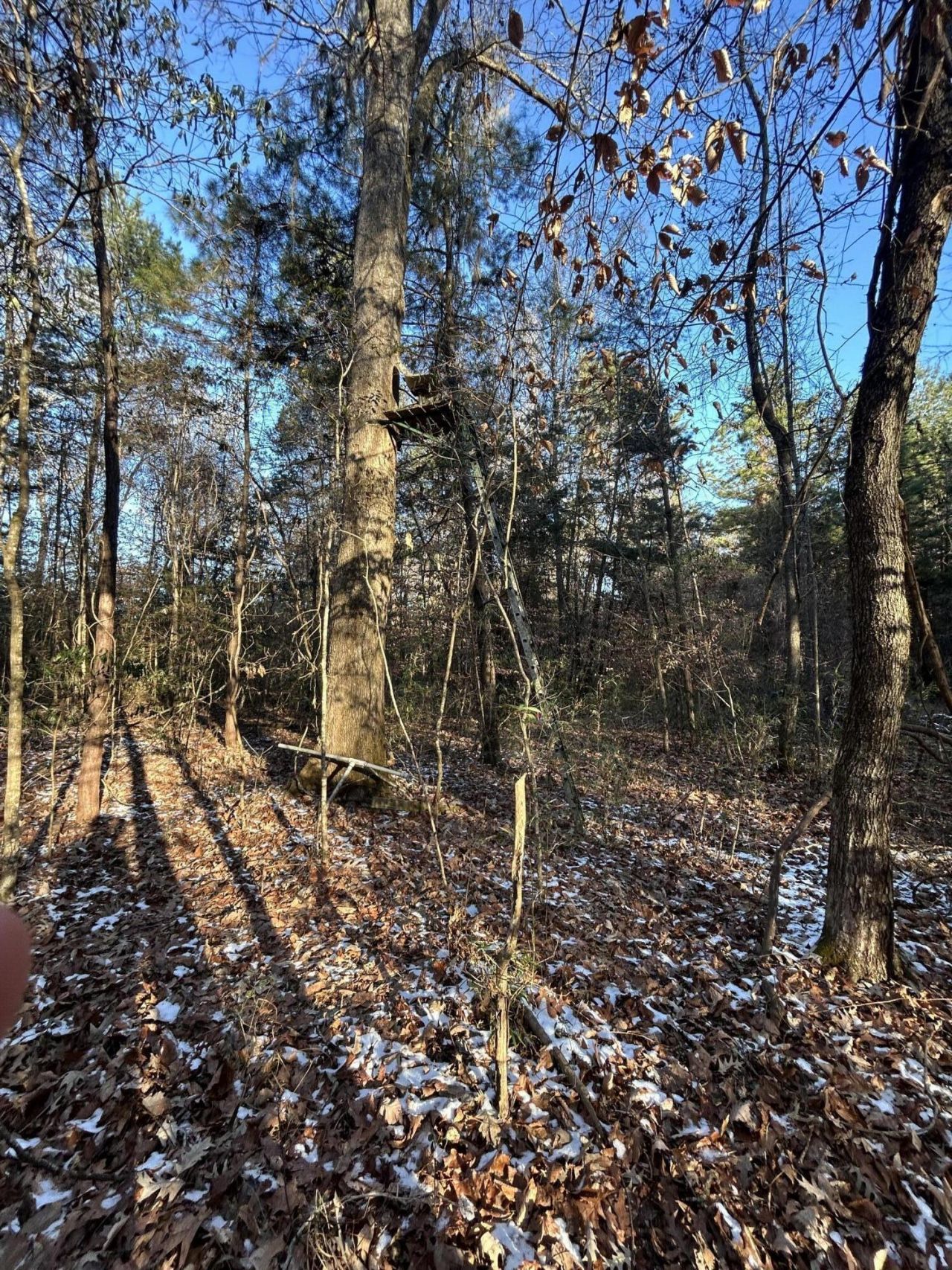 00 Hyde Park Road Photo 32