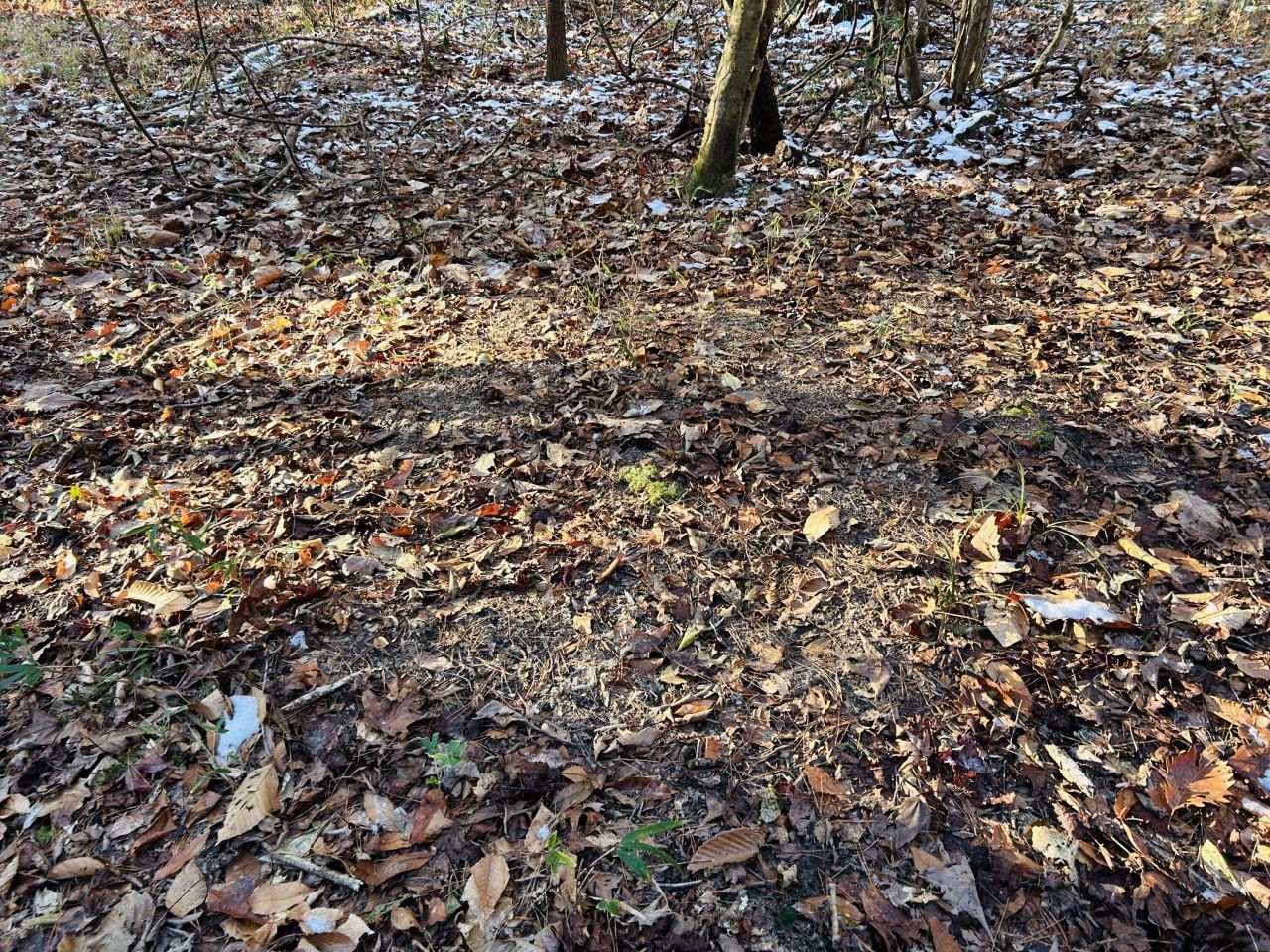 00 Hyde Park Road Photo 34