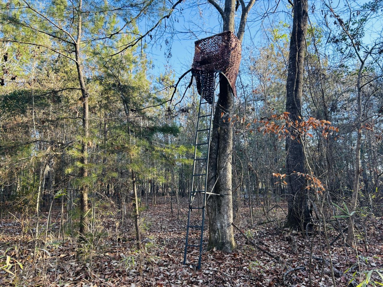 00 Hyde Park Road Photo 35