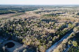 00 Hyde Park Road photo 4