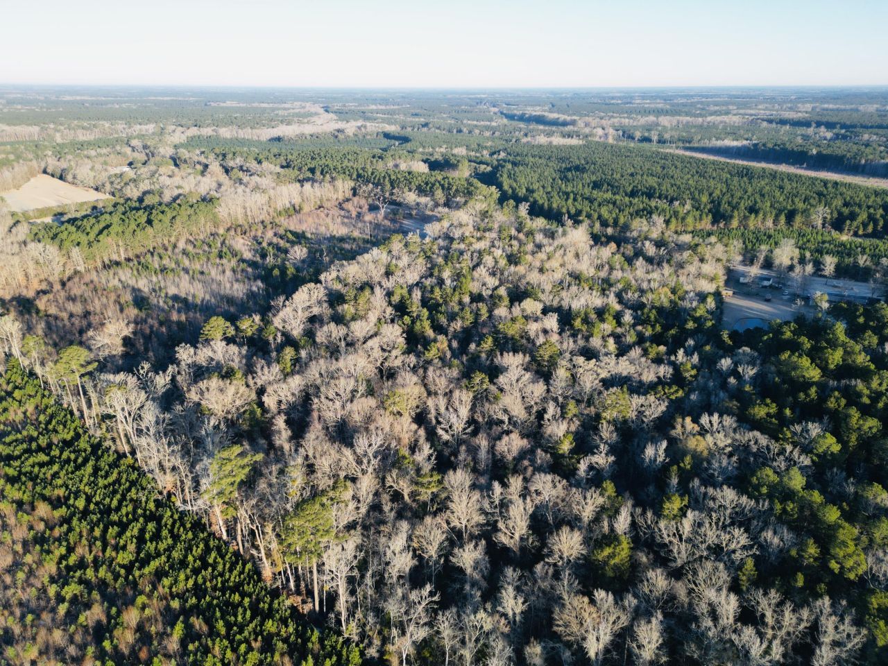 00 Hyde Park Road Photo 6