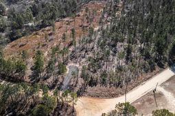 1a Spring Creek Road photo 4