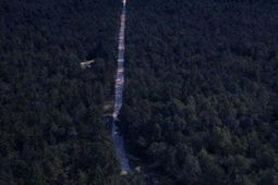 1a Spring Creek Road photo 4