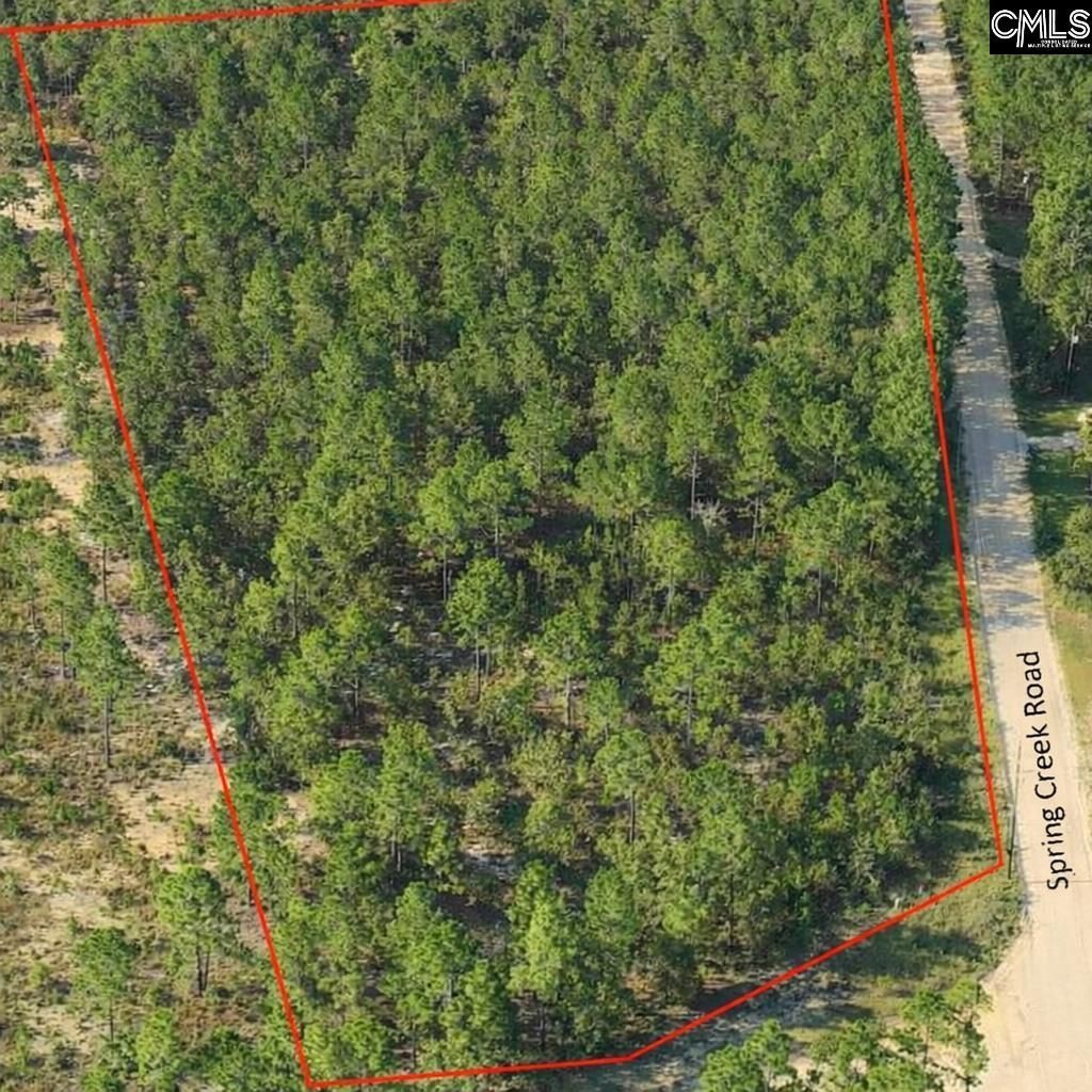 1a Spring Creek Road Photo 5