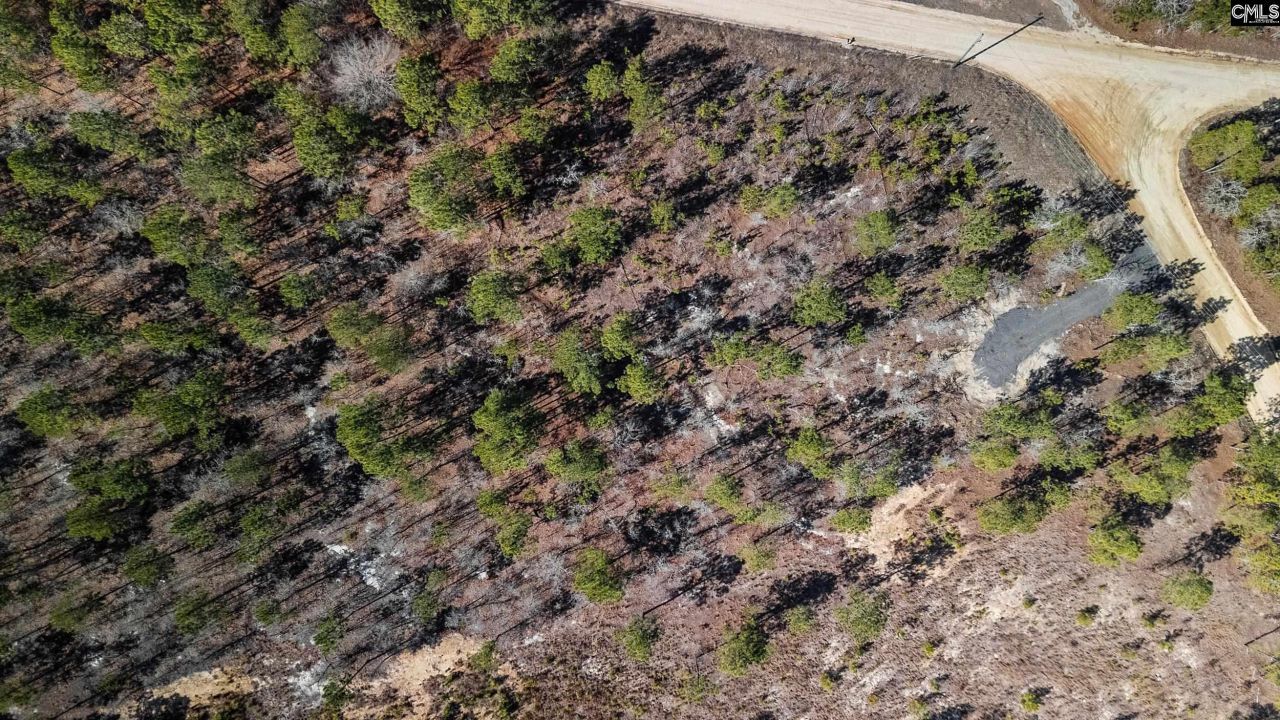 1a Spring Creek Road Photo 6