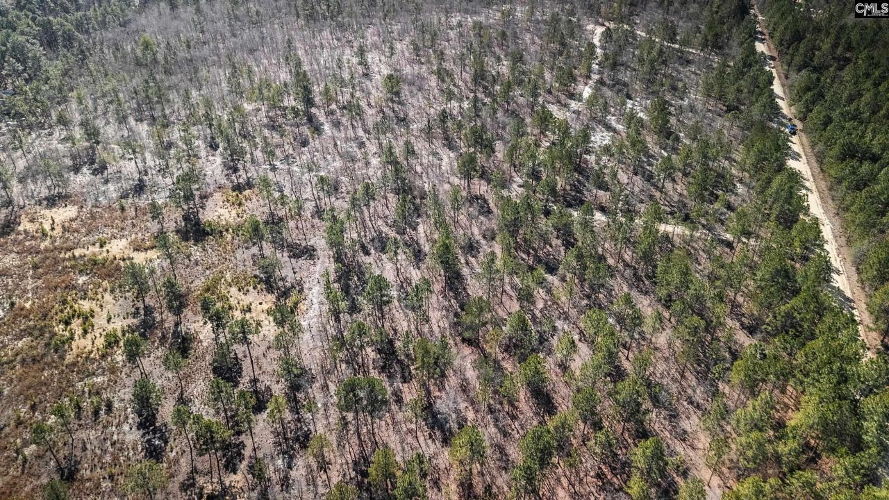 1a Spring Creek Road Photo 9