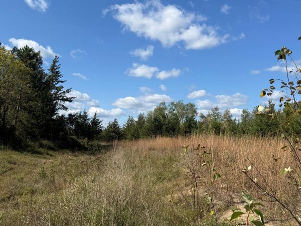 TBD Moonlight Lane SW, Bemidji, MN 56601