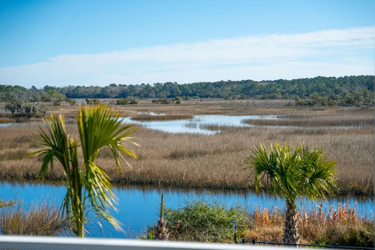 538 Towles Crossing Drive Photo 29