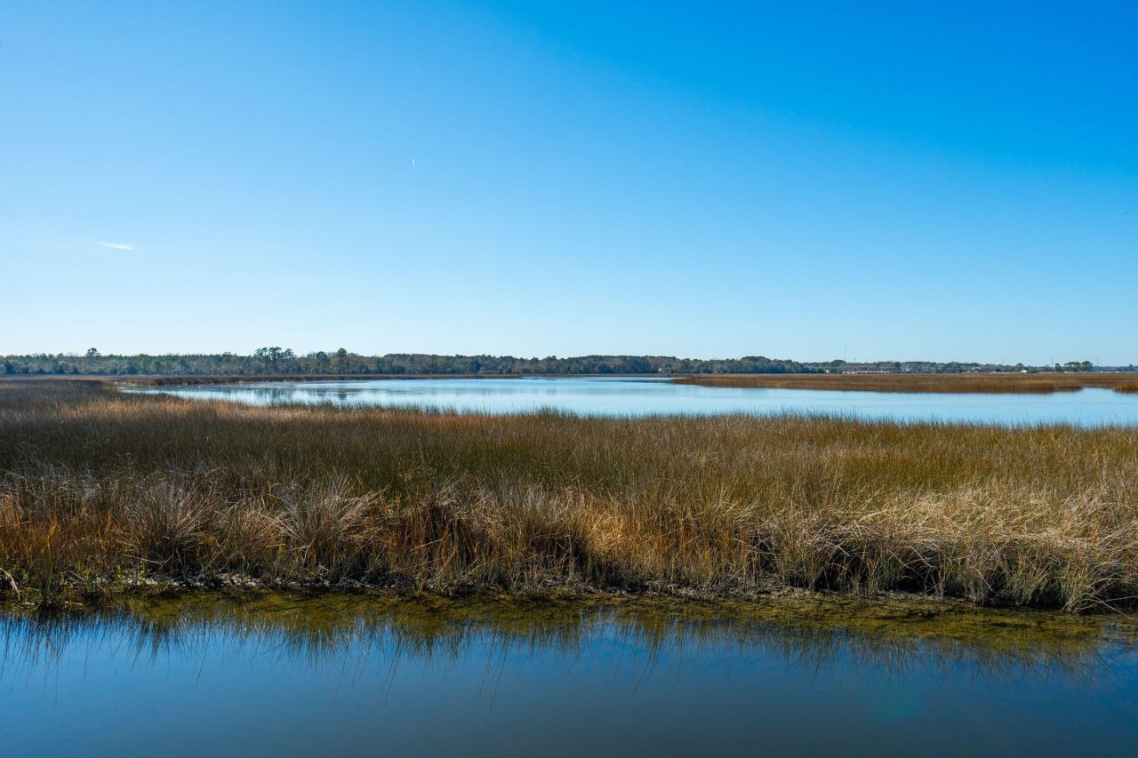 538 Towles Crossing Drive Photo 89