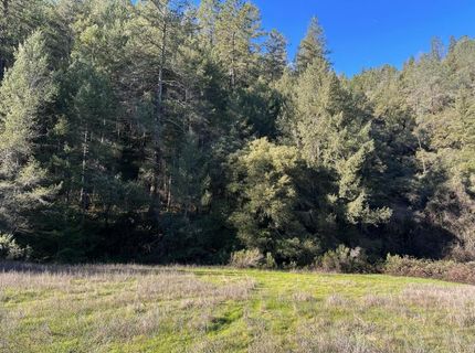 Tree Top Ln, Auburn, CA 95603 Photo