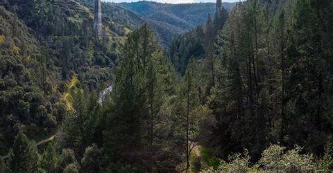 Tree Top Ln, Auburn, CA 95603 Photo