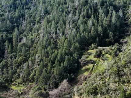 Tree Top Ln, Auburn, CA 95603 Photo