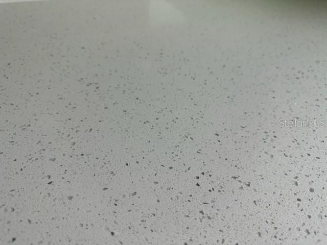 2020 13th Street S, Saint Petersburg, FL 33705 Photo