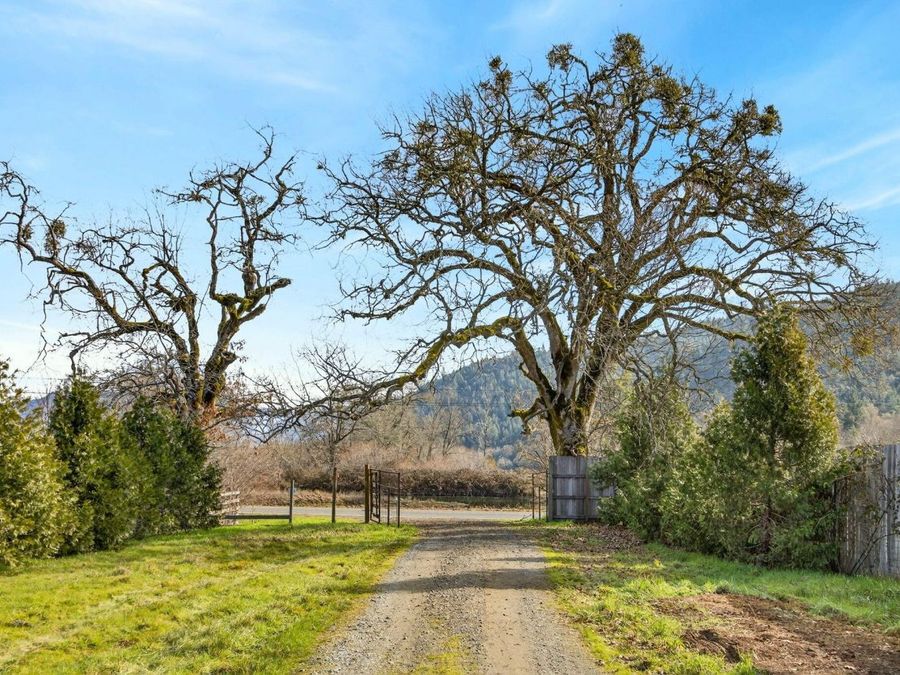 Property Image 100