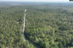 1b Spring Creek Road photo 4