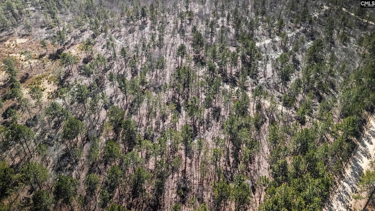 1b Spring Creek Road Photo 5